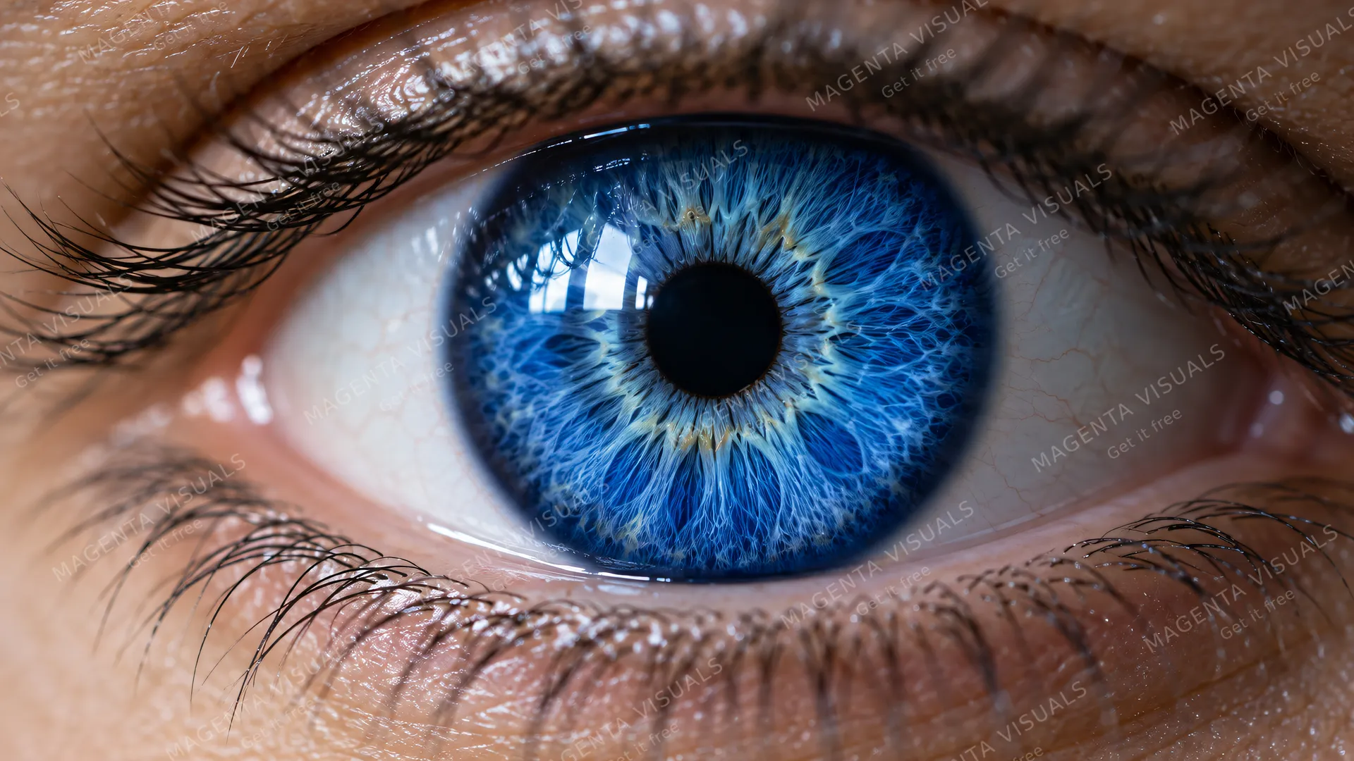 4K An extreme close-up 16:9 widescreen photograph of a mesmerizing human eye in soft intimate cinematic lighting.