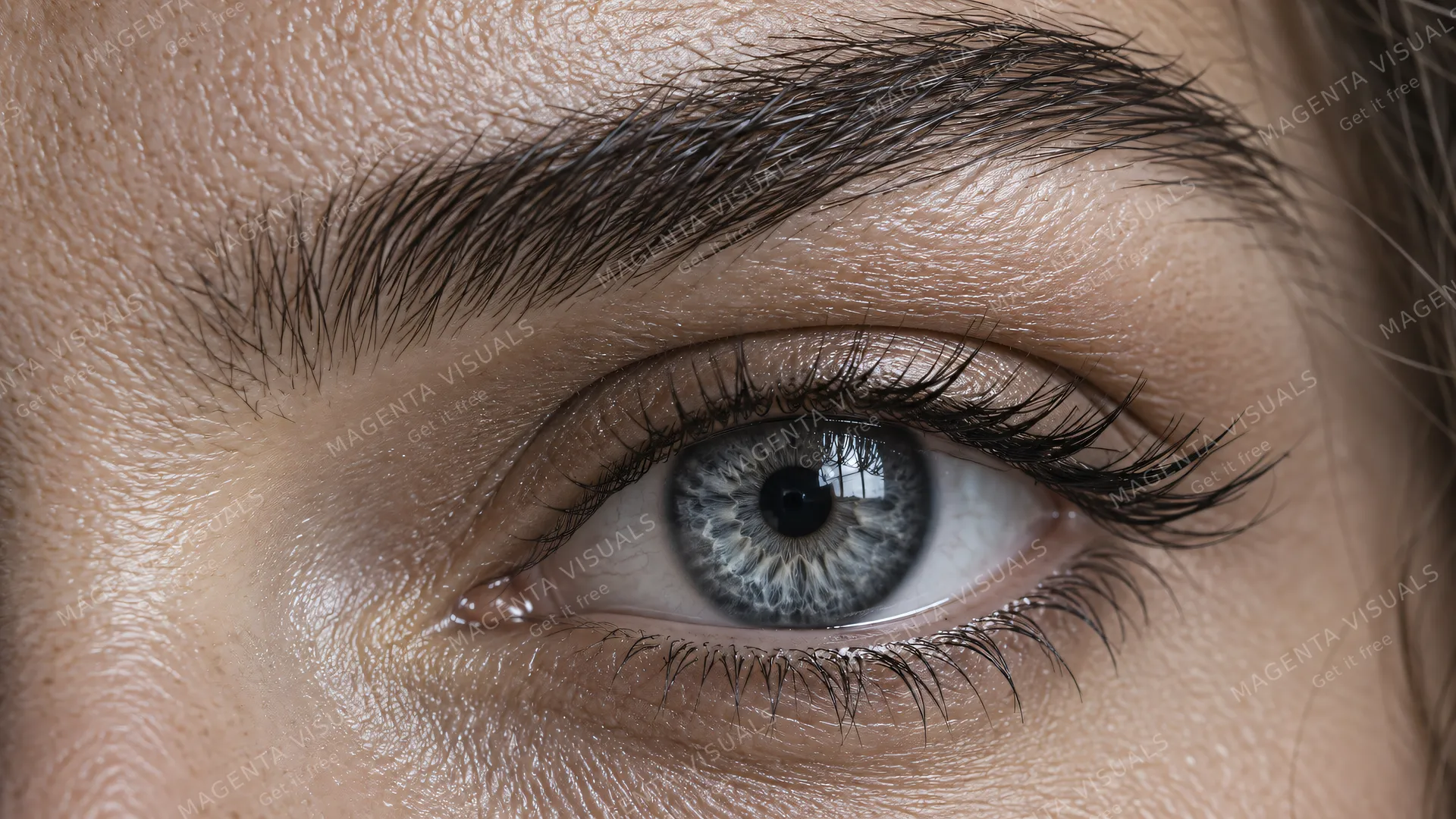 4K An extreme 16:9 widescreen close-up beauty photograph of a human eye and eyebrow, featuring a stunning cool steel-grey iris with breathtaking detail.