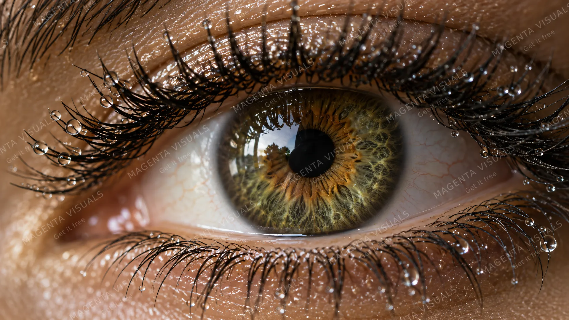 4K 16:9 widescreen extreme close-up photorealistic beauty photography of a single deep hazel-green iris framed by sharp sweeping dark individual eyelashes adorned with micro water dr…