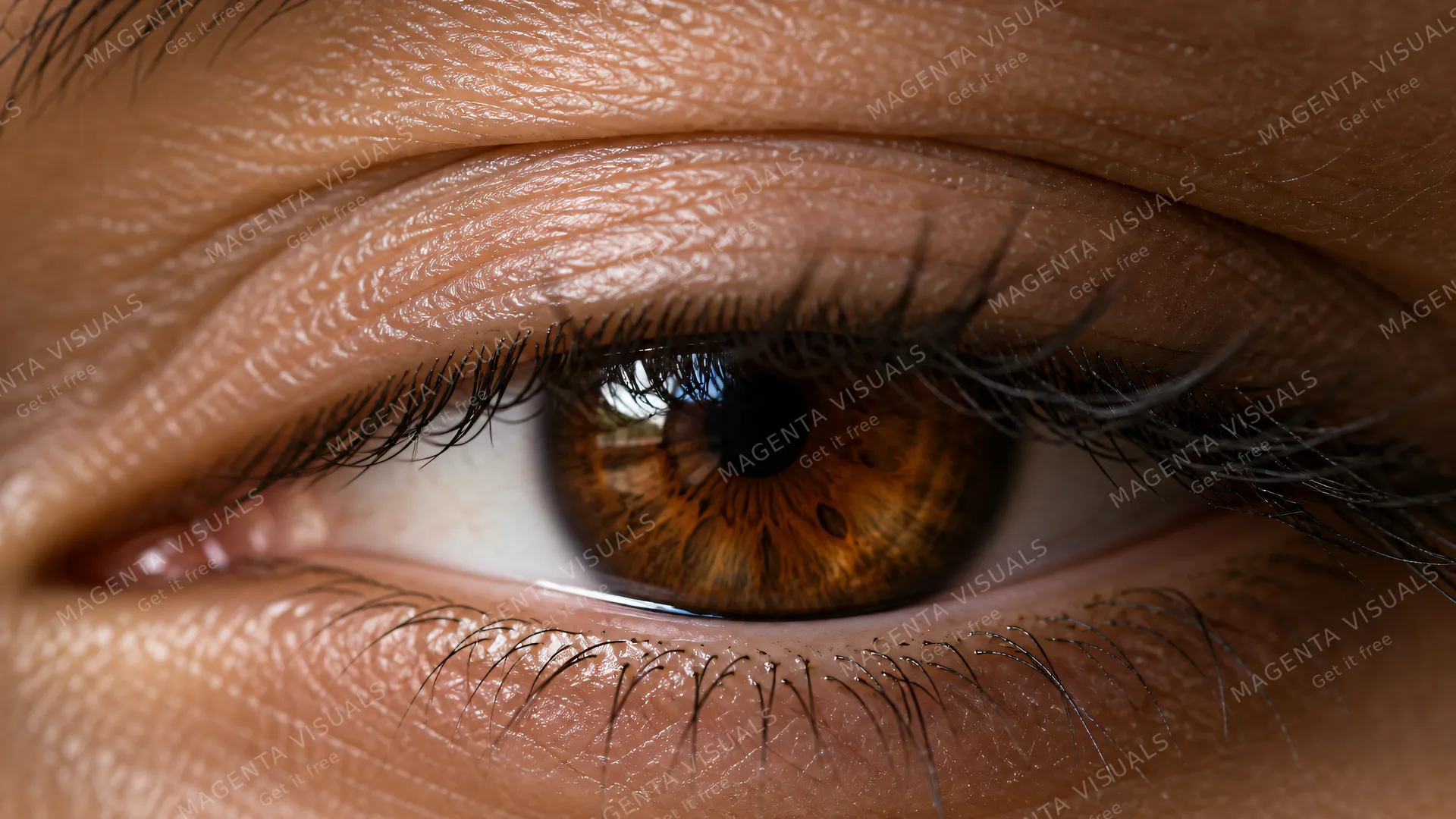 4K Extreme close-up beauty photography of a rich chestnut-brown iris glimpsed beneath delicate textured skin folds and creases of the upper eyelid, 16:9 widescreen, photorealistic in…