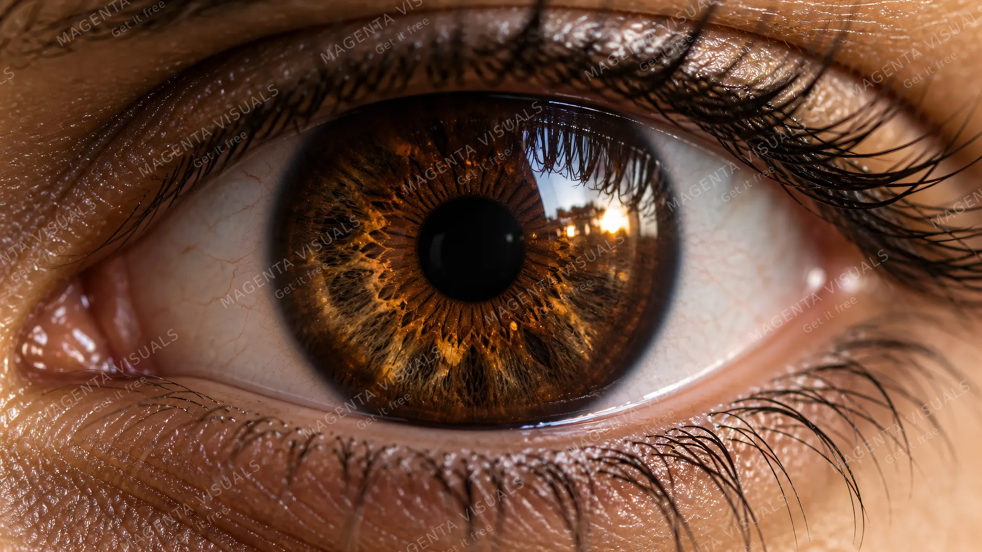 4K An extreme close-up macro photograph of a beautiful human eye locked in a magnetic direct gaze, in 16:9 widescreen aspect ratio.