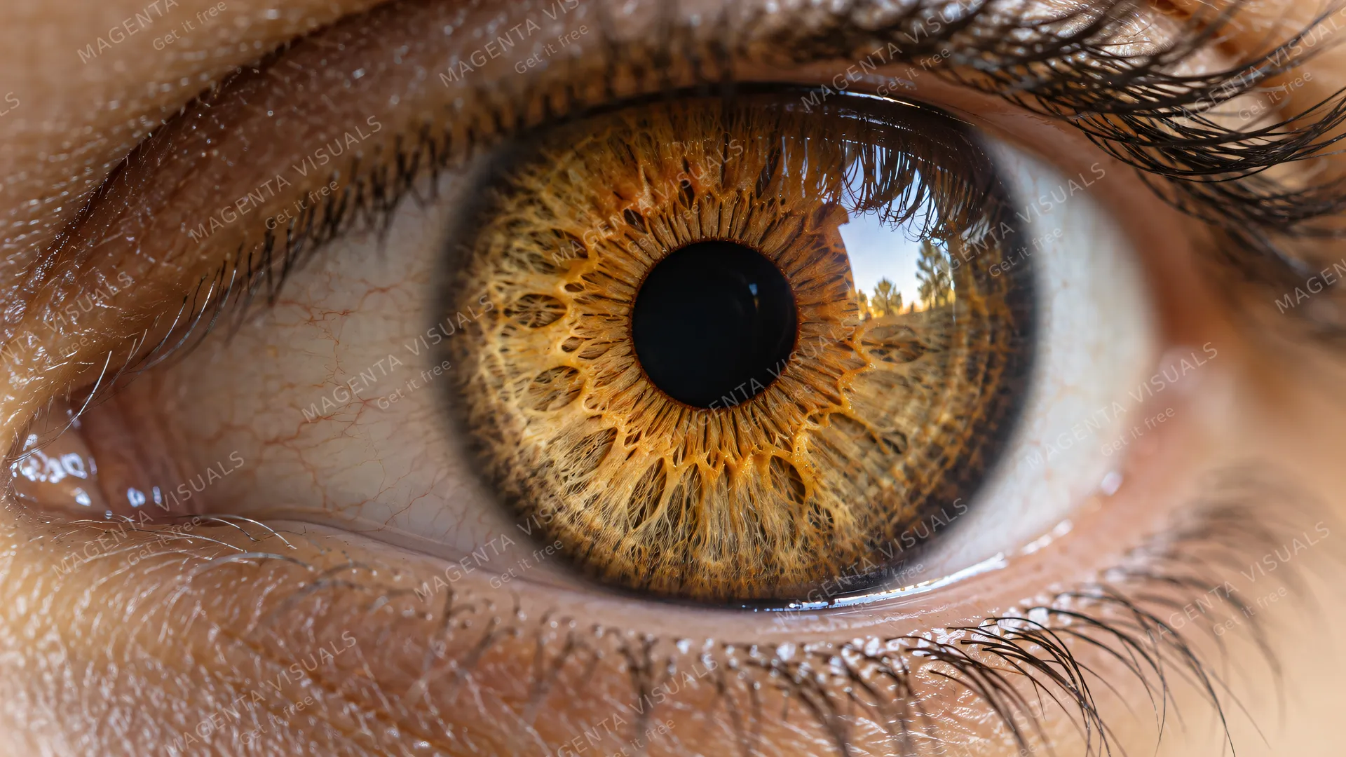 4K 16:9 widescreen extreme close-up photorealistic macro photography of a human eye, focusing on a beautiful iris featuring warm amber and honey-gold tones.
