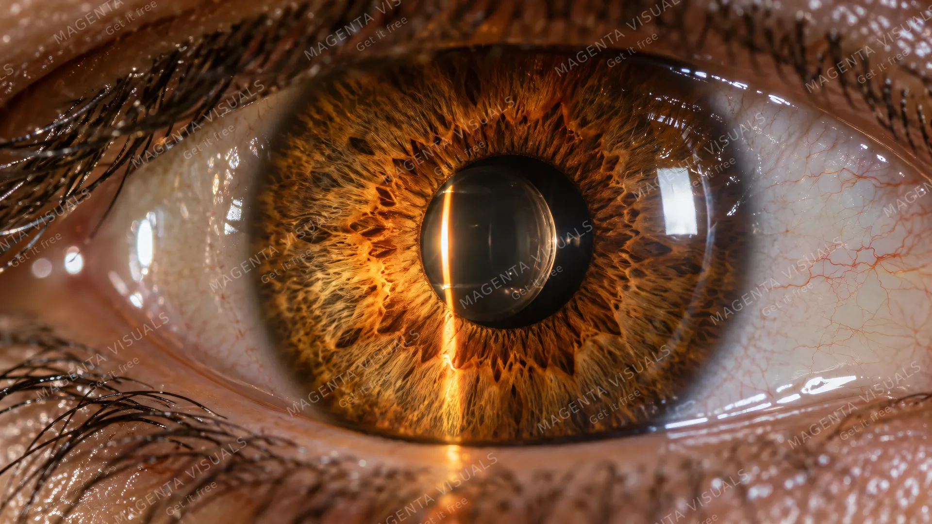4K Extreme close-up photorealistic shot of a beautiful human eye in 16:9 widescreen format, featuring a crystal-clear crystalline ocular lens visible through the pupil surrounded by…