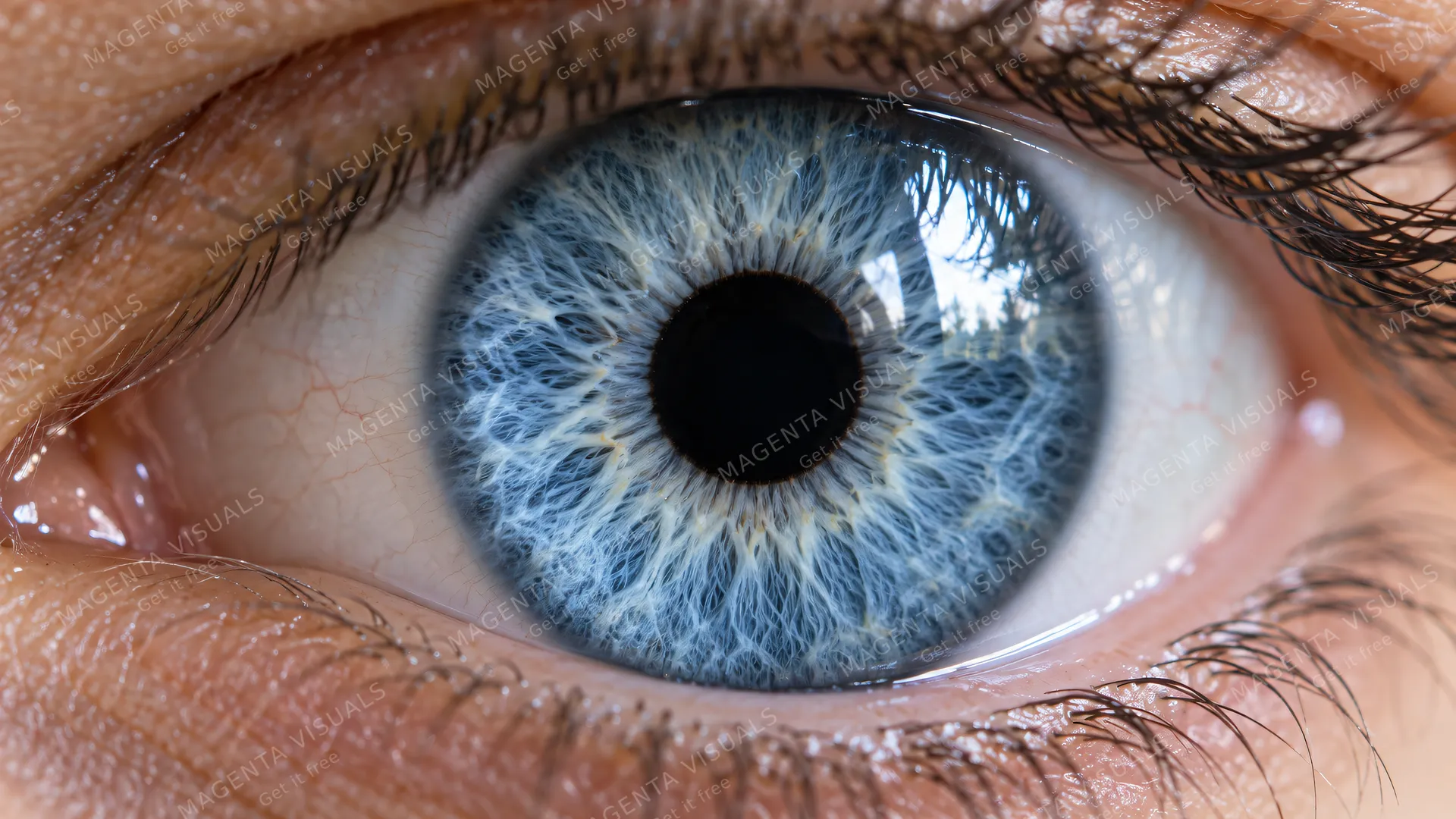 4K An extreme close-up photorealistic 16:9 widescreen shot of a human eye, focusing intensely on the vivid ice-blue iris with intricate fibrous details framing a deep, pitch-black pu…