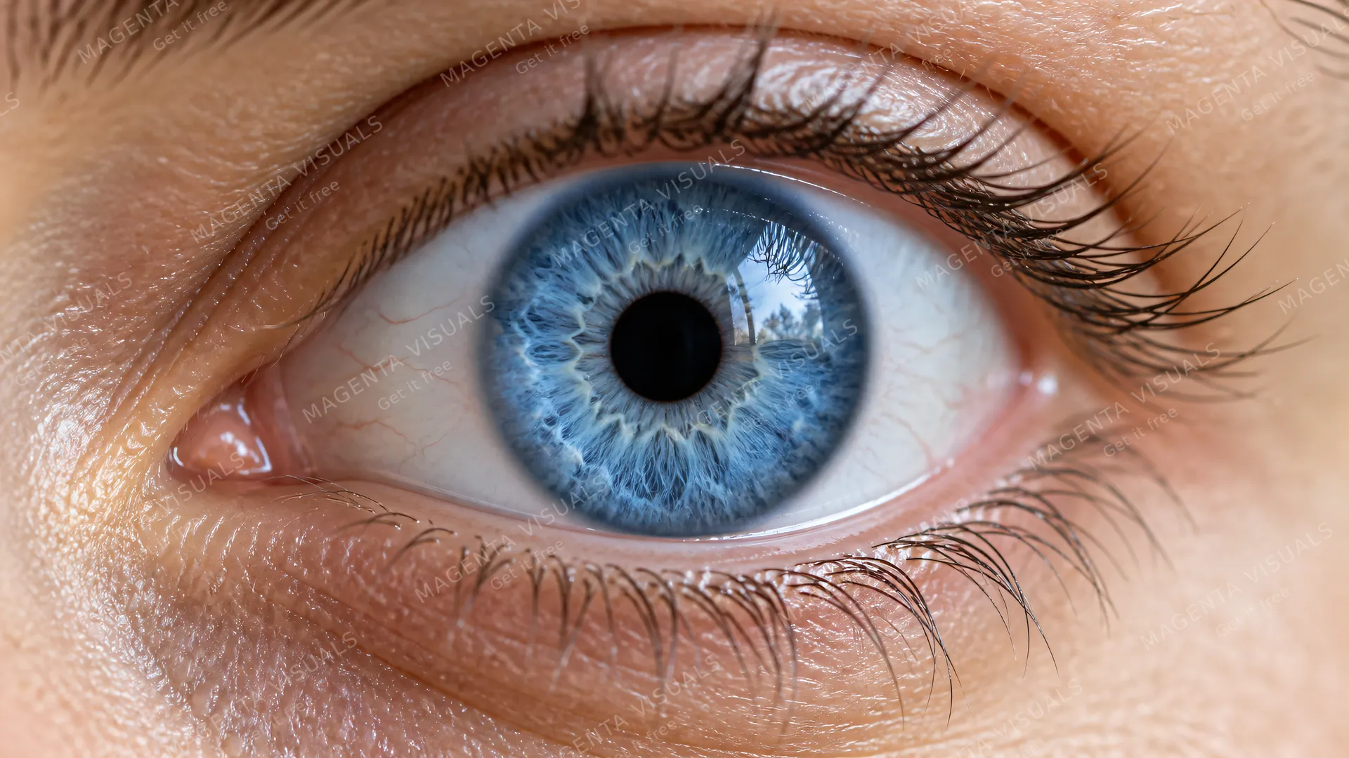 4K 16:9 widescreen aspect ratio extreme close-up macro photography of a wide open round human eye revealing a bright cornflower-blue iris with intricate radial fibers, expansive curv…