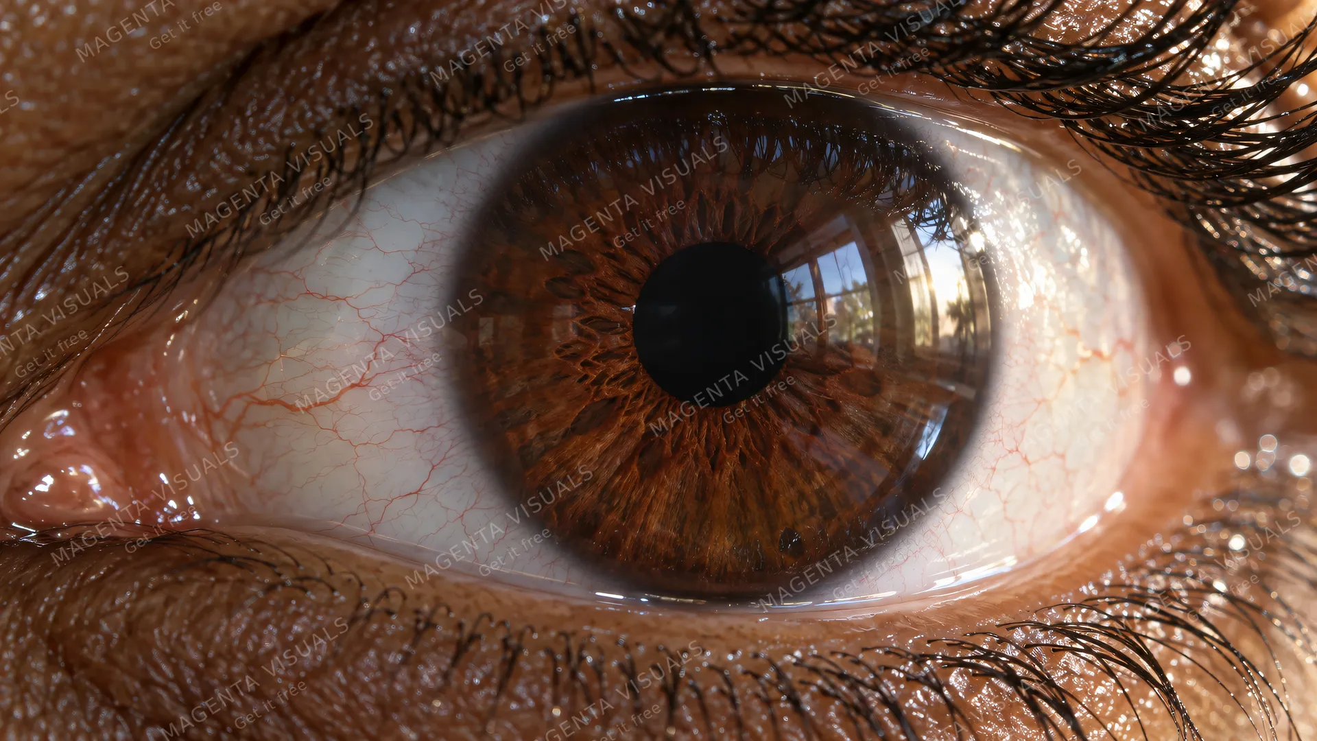 4K An extreme close-up widescreen 16:9 photorealistic macro shot of a human eye, capturing the intimate beauty of a rich dark cocoa-brown iris bathed in soft, natural morning light.