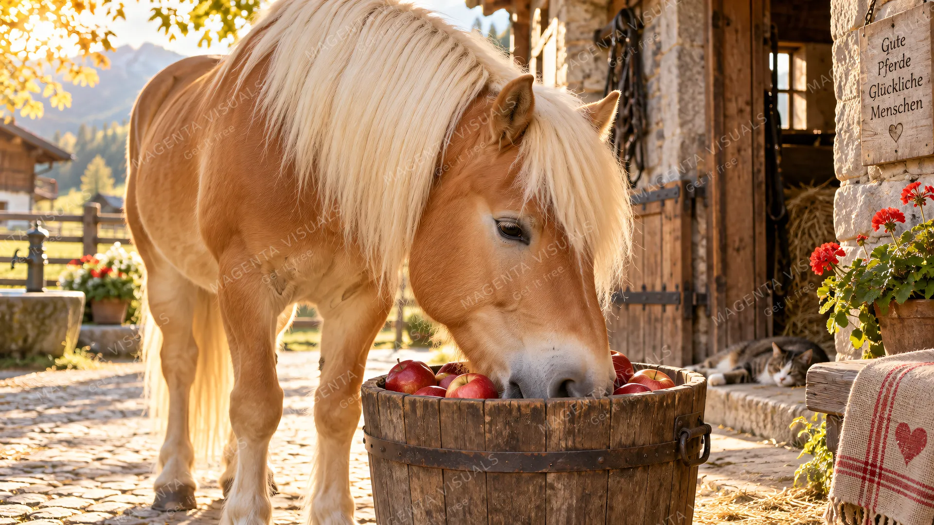 4K A cute pet photo of a Haflinger horse in a quiet still setting.