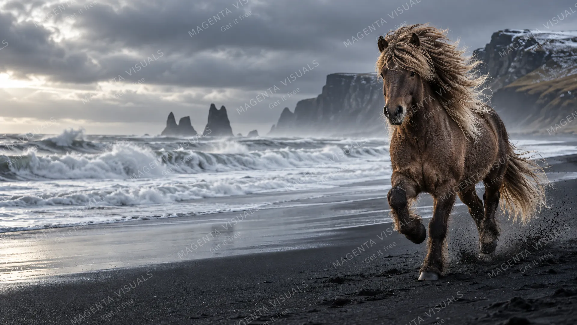4K A stunning 16:9 widescreen desktop wallpaper featuring a thick-maned Icelandic Horse in action, performing a fast tölt along a black-sand beach on the right, left empty Atlantic w…