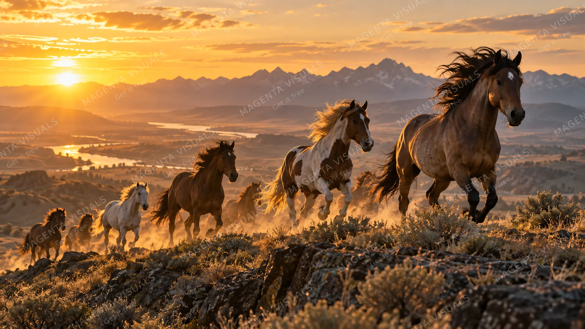 4K 16:9 widescreen desktop wallpaper, photoreal photograph of a wild Mustang in action.
