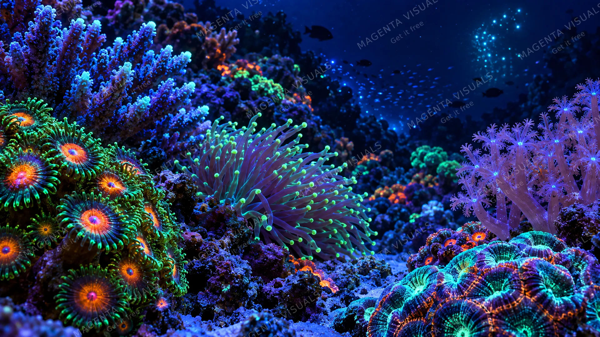 4K Macro underwater panorama of vibrant fluorescent hard and soft coral reef polyps at night under blue UV actinic light, 16:9 widescreen cinematic photograph shot on RED Digital Cin…