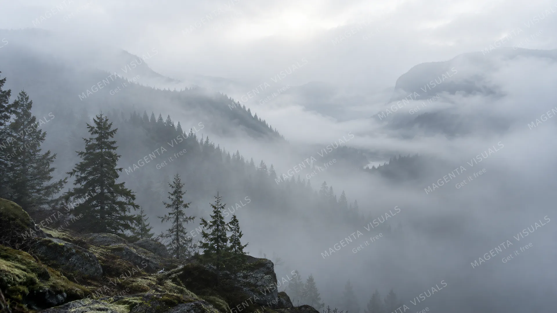 4K A 16:9 widescreen desktop wallpaper featuring a photoreal photograph of a foggy landscape.