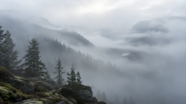 4K A 16:9 widescreen desktop wallpaper featuring a photoreal photograph of a foggy landscape.