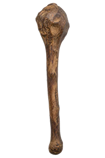 4K transparent cutout of product photography of a single primitive wooden club made from a thick carved branch with a bulbous striking end, isolated object, entire subject visible, centered in frame, muse…
