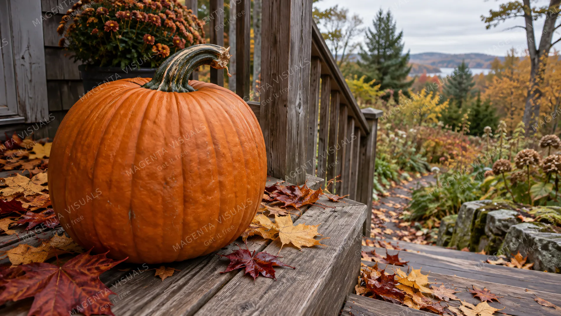 4K 16:9 photoreal photograph of a large, vibrant orange pumpkin sitting on a rustic wooden porch during the autumn season.