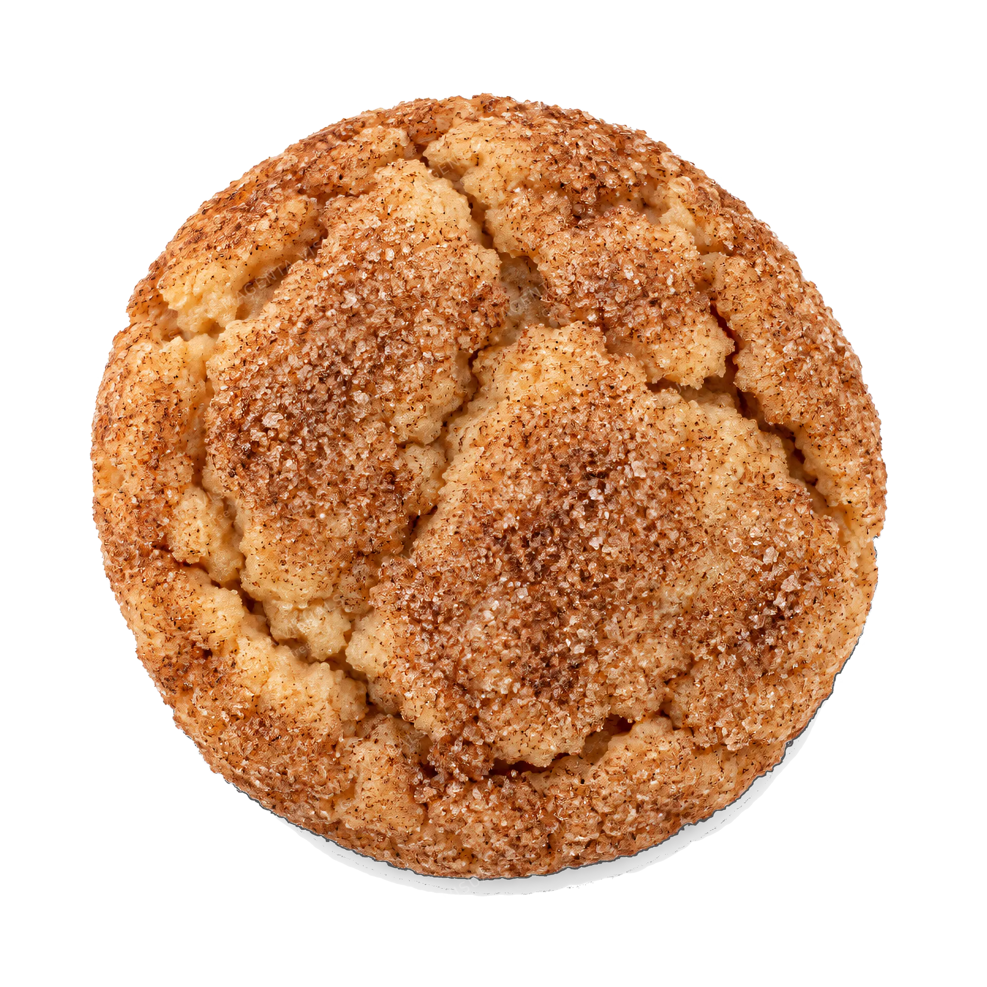 4K transparent cutout of product photography of a single warm, cracked cinnamon cookie heavily dusted with cinnamon-sugar mixture, isolated object, entire subject visible, centered in frame, pure white ba…