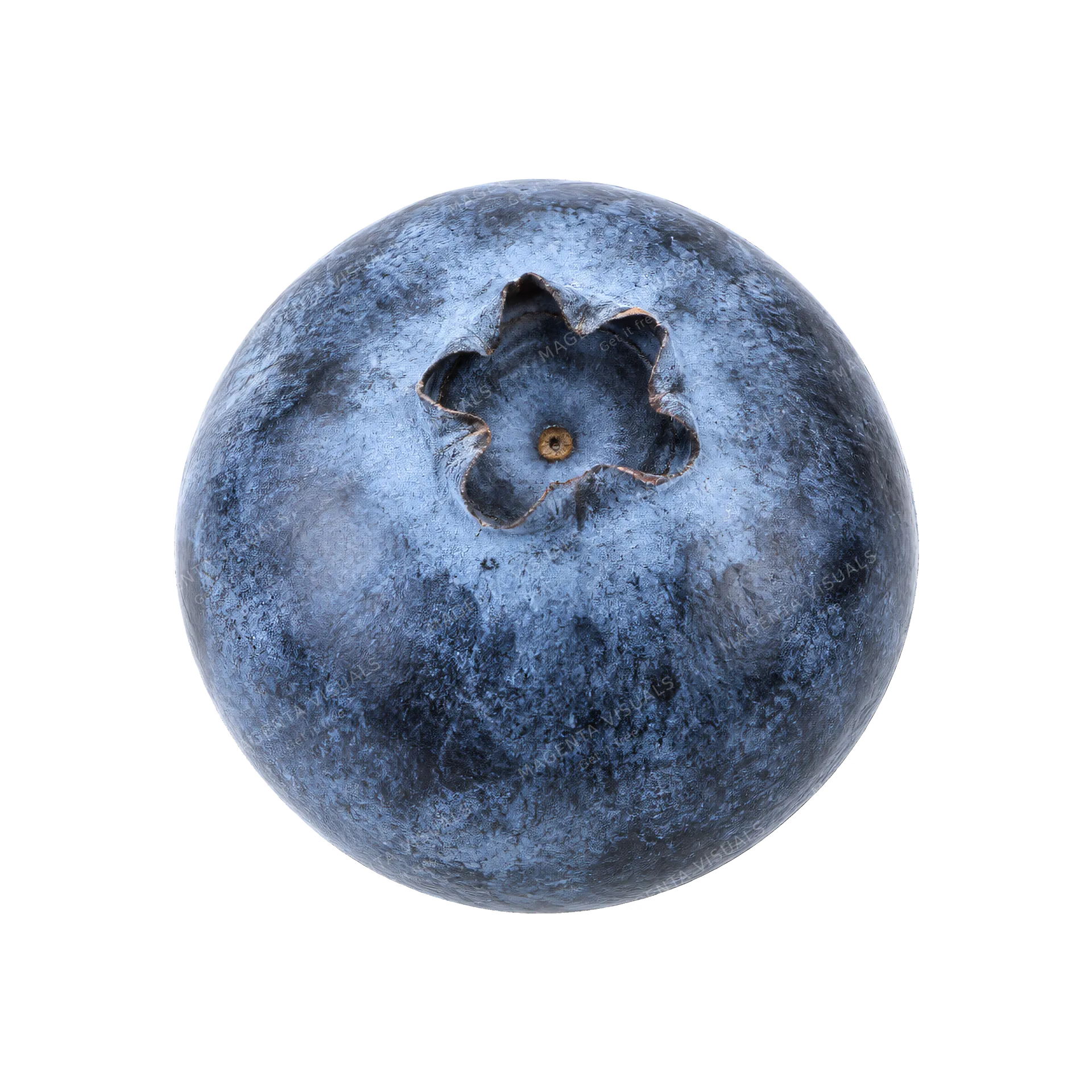 4K transparent cutout of product photography of a single plump dark blue blueberry with a powdery silver bloom and a tiny star-shaped crown, isolated object, entire subject visible, centered in frame, pur…
