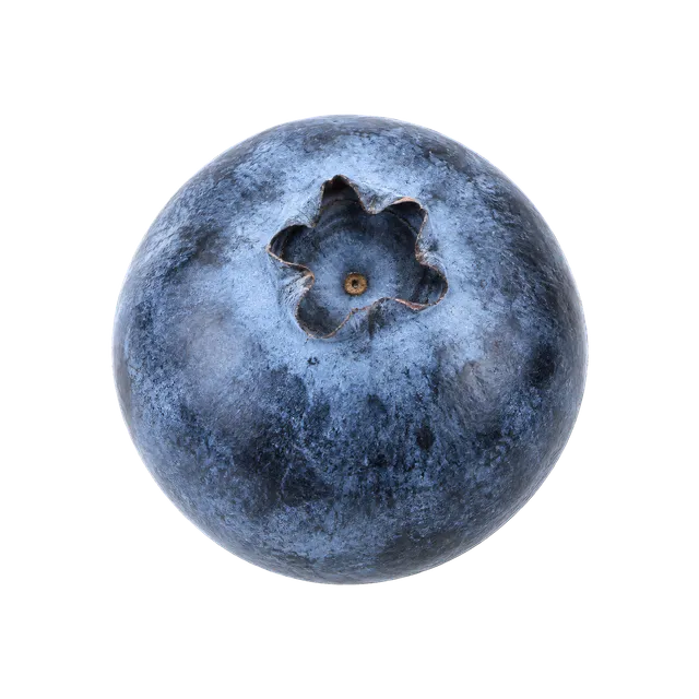 4K transparent cutout of product photography of a single plump dark blue blueberry with a powdery silver bloom and a tiny star-shaped crown, isolated object, entire subject visible, centered in frame, pur…