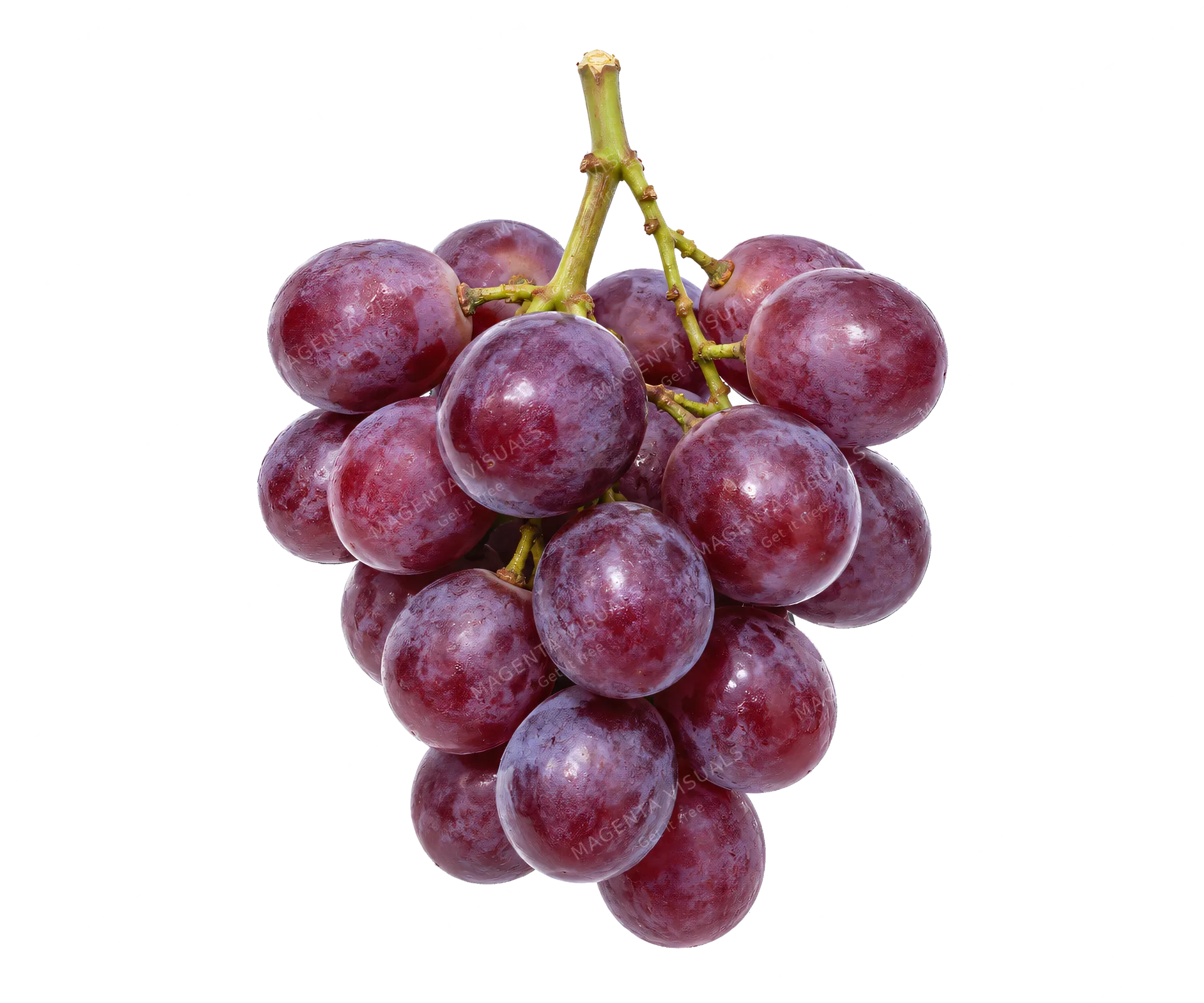 4K transparent cutout of product photography of a single small typical cluster of fresh purple grapes with a stem, isolated object, entire subject visible, centered in frame, pure white background, seamle…