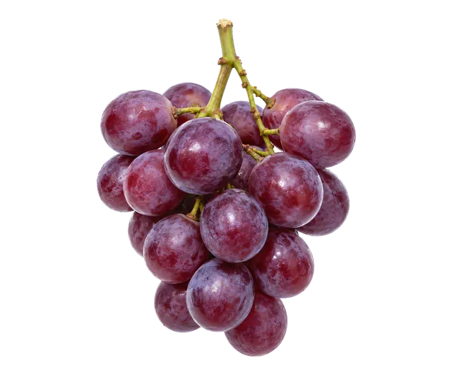 4K transparent cutout of product photography of a single small typical cluster of fresh purple grapes with a stem, isolated object, entire subject visible, centered in frame, pure white background, seamle…