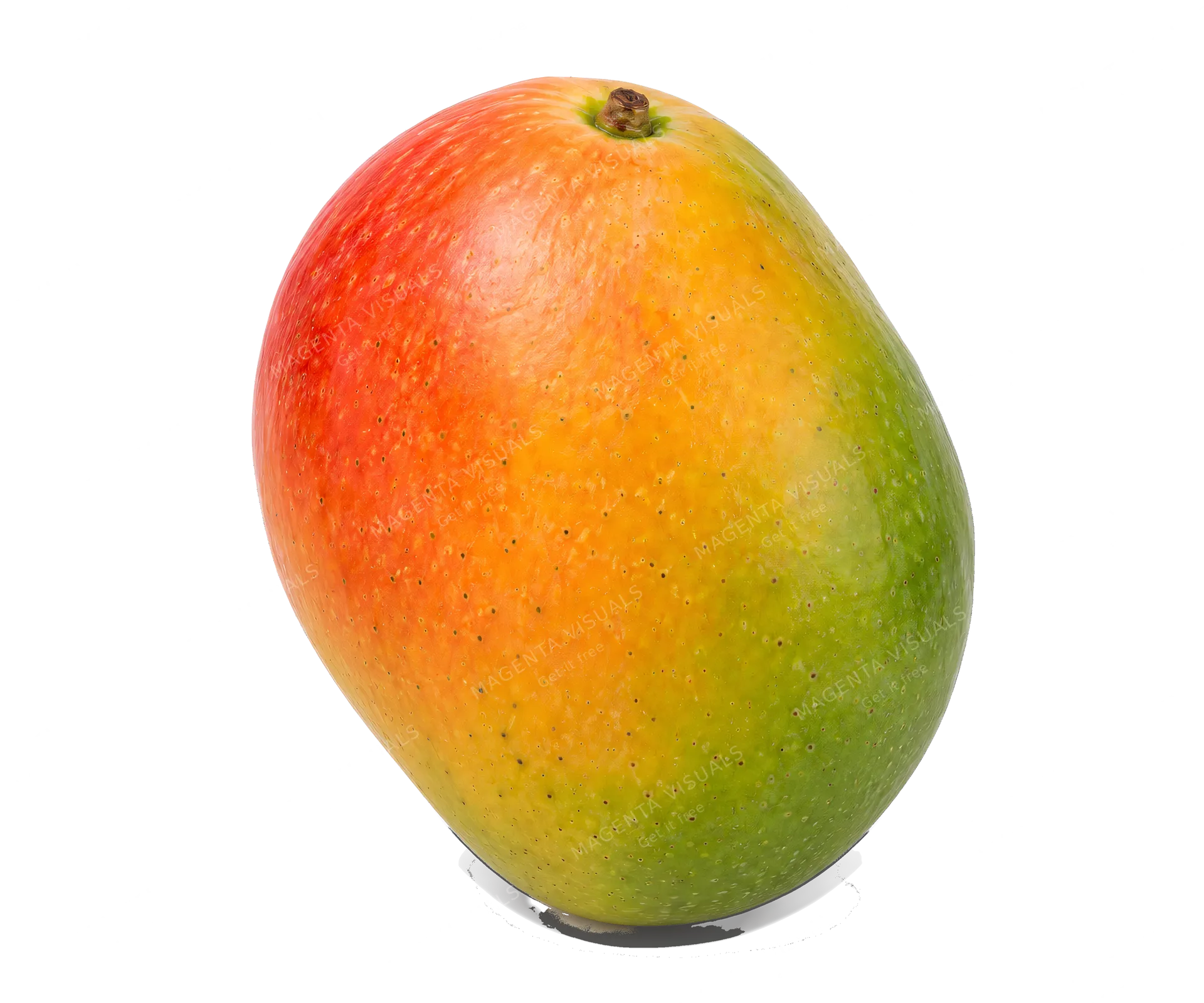 4K transparent cutout of product photography of a single ripe, vibrant orange and green mango, isolated object, entire subject visible, centered in frame, pure white background, seamless white backdrop, h…