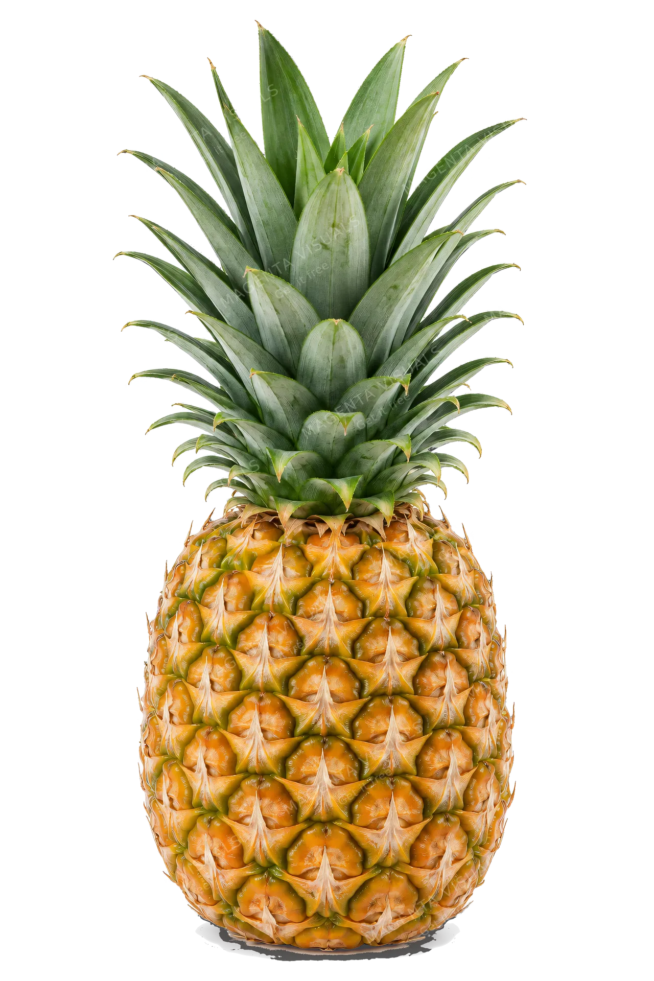 4K transparent cutout of product photography of a single whole pineapple with its crown of spiky green leaves and rough textured golden-brown diamond-patterned skin, isolated object, entire subject visibl…
