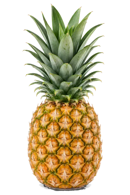 4K transparent cutout of product photography of a single whole pineapple with its crown of spiky green leaves and rough textured golden-brown diamond-patterned skin, isolated object, entire subject visibl…