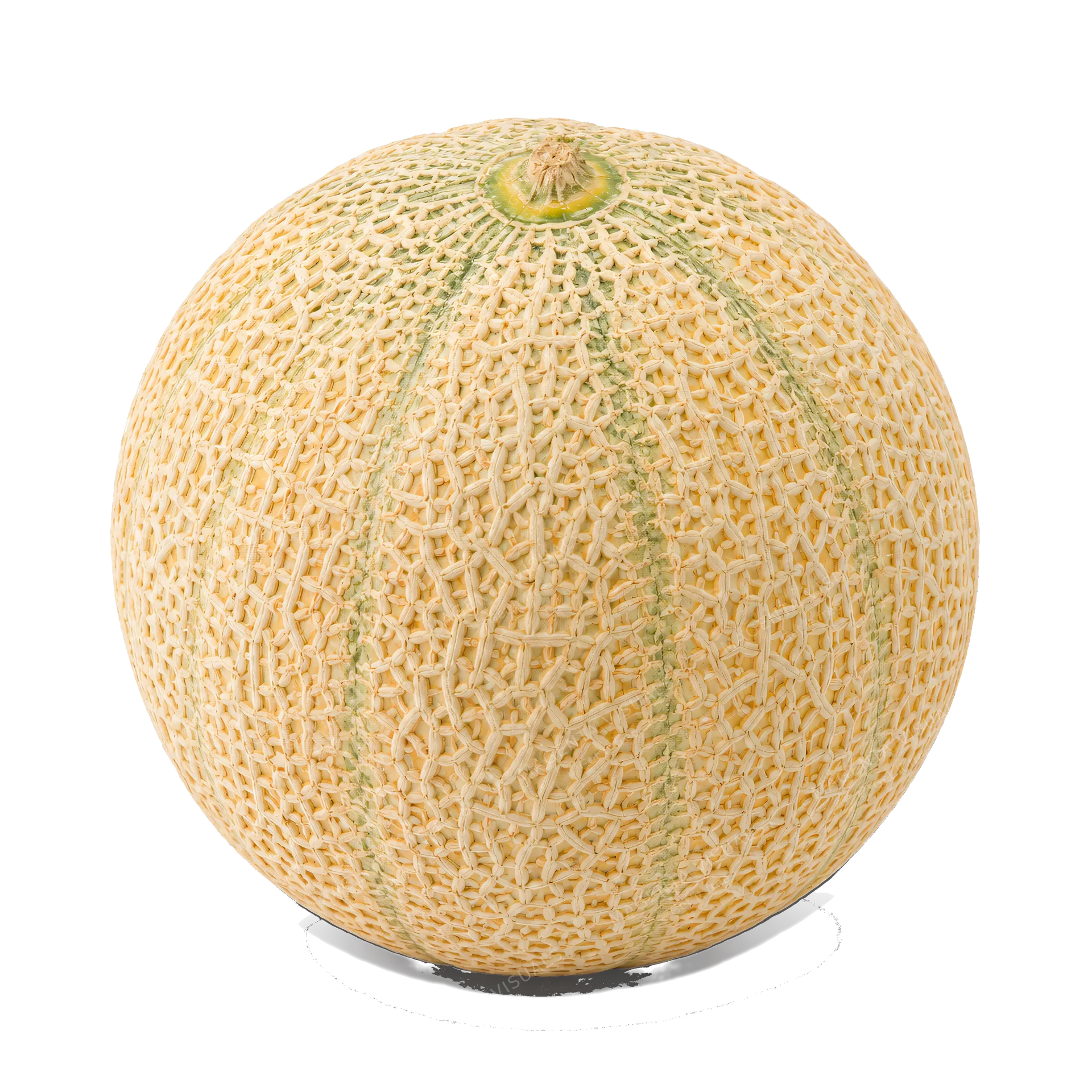 4K transparent cutout of product photography of a single ripe whole melon with a smooth slightly netted rind, isolated object, entire subject visible, centered in frame, pure white background, seamless wh…