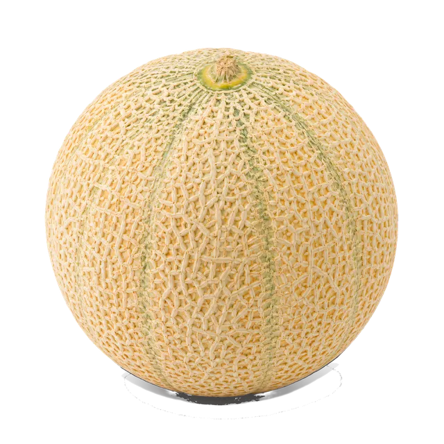 4K transparent cutout of product photography of a single ripe whole melon with a smooth slightly netted rind, isolated object, entire subject visible, centered in frame, pure white background, seamless wh…