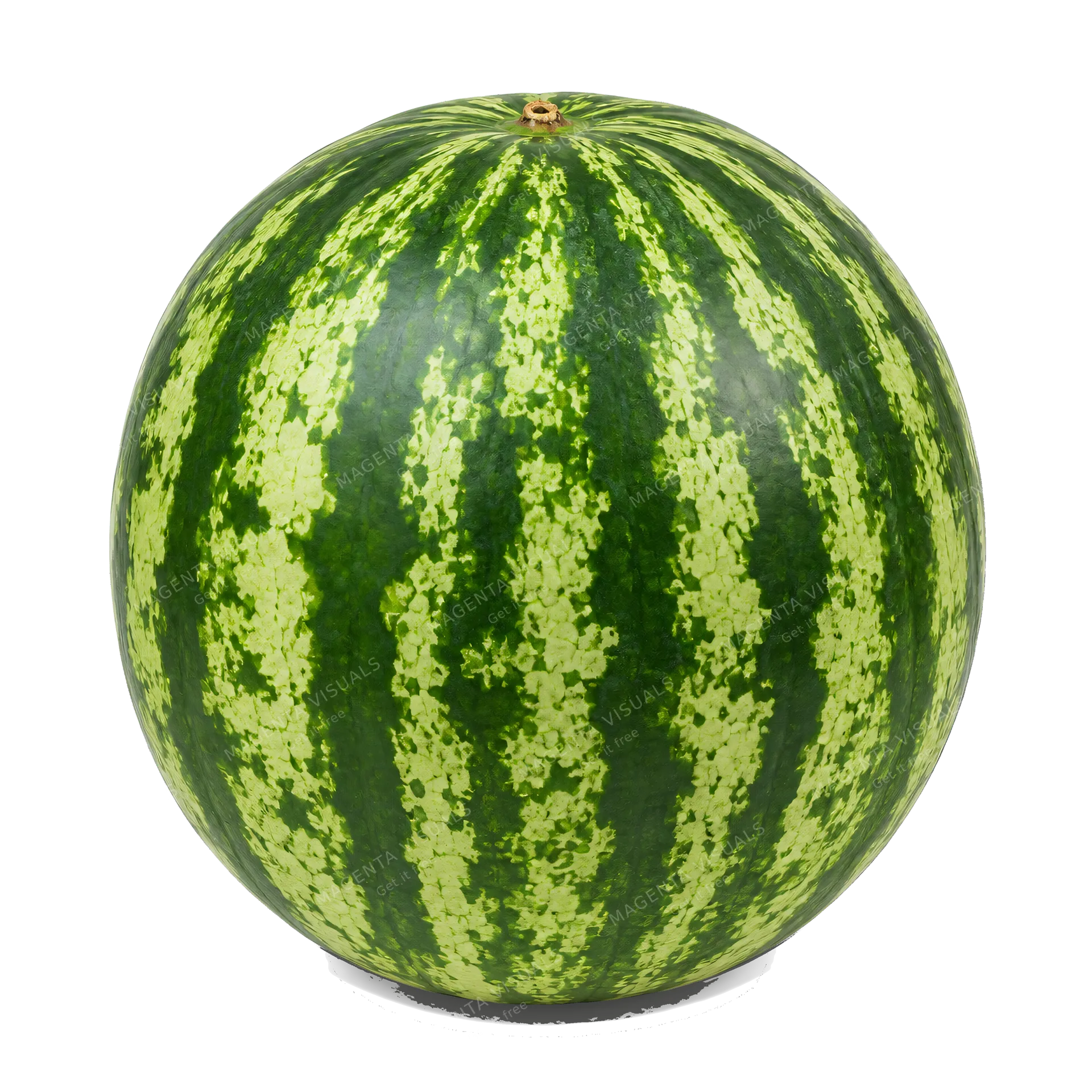 4K transparent cutout of product photography of a single whole watermelon with dark green and light green stripes, isolated object, entire subject visible, centered in frame, pure white background, seamle…