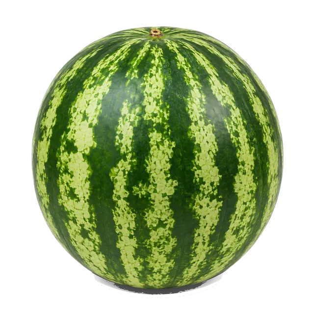 4K transparent cutout of product photography of a single whole watermelon with dark green and light green stripes, isolated object, entire subject visible, centered in frame, pure white background, seamle…