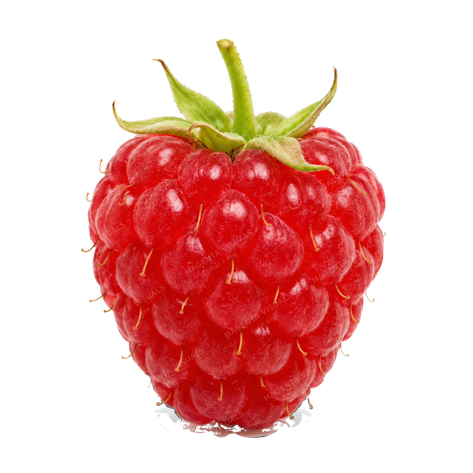 4K transparent cutout of product photography of a single ripe, plump red raspberry with its characteristic bumpy texture and a tiny green stem at the top, isolated object, entire subject visible, centered…