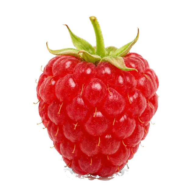 4K transparent cutout of product photography of a single ripe, plump red raspberry with its characteristic bumpy texture and a tiny green stem at the top, isolated object, entire subject visible, centered…