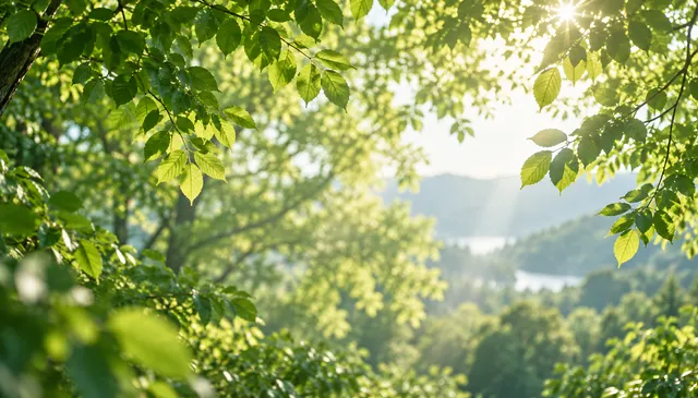 4K 16:9 widescreen background desktop wallpaper or UI backdrop featuring a serene green foliage canopy, gentle diffused sunlight filtering through leaves, lush organic atmosphere, fu…