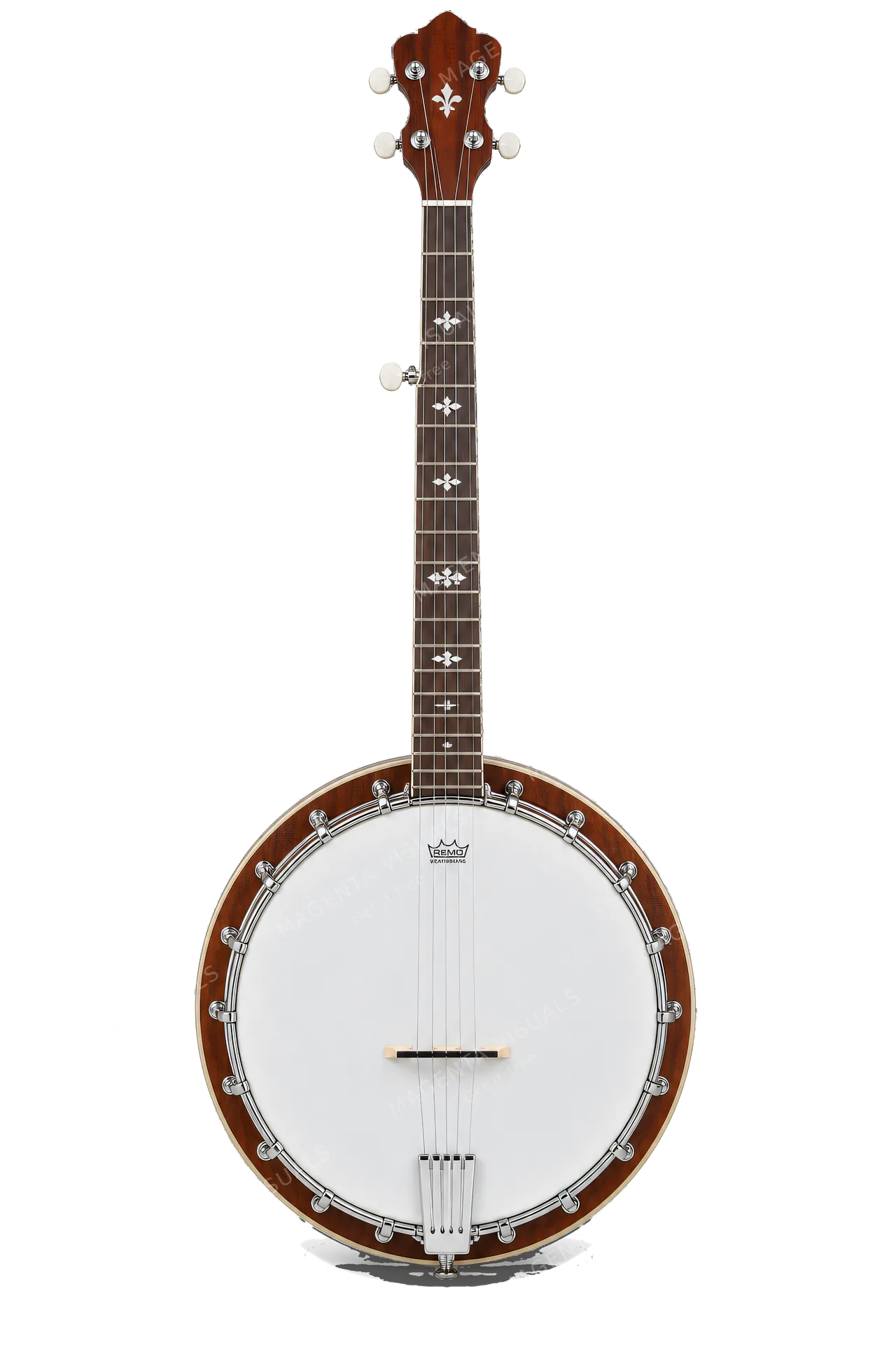 4K transparent cutout of product photography of a single 5-string banjo with a round drum-like body, white frosted head, mahogany resonator and neck, metal tone ring and hardware, fretted fingerboard, and…