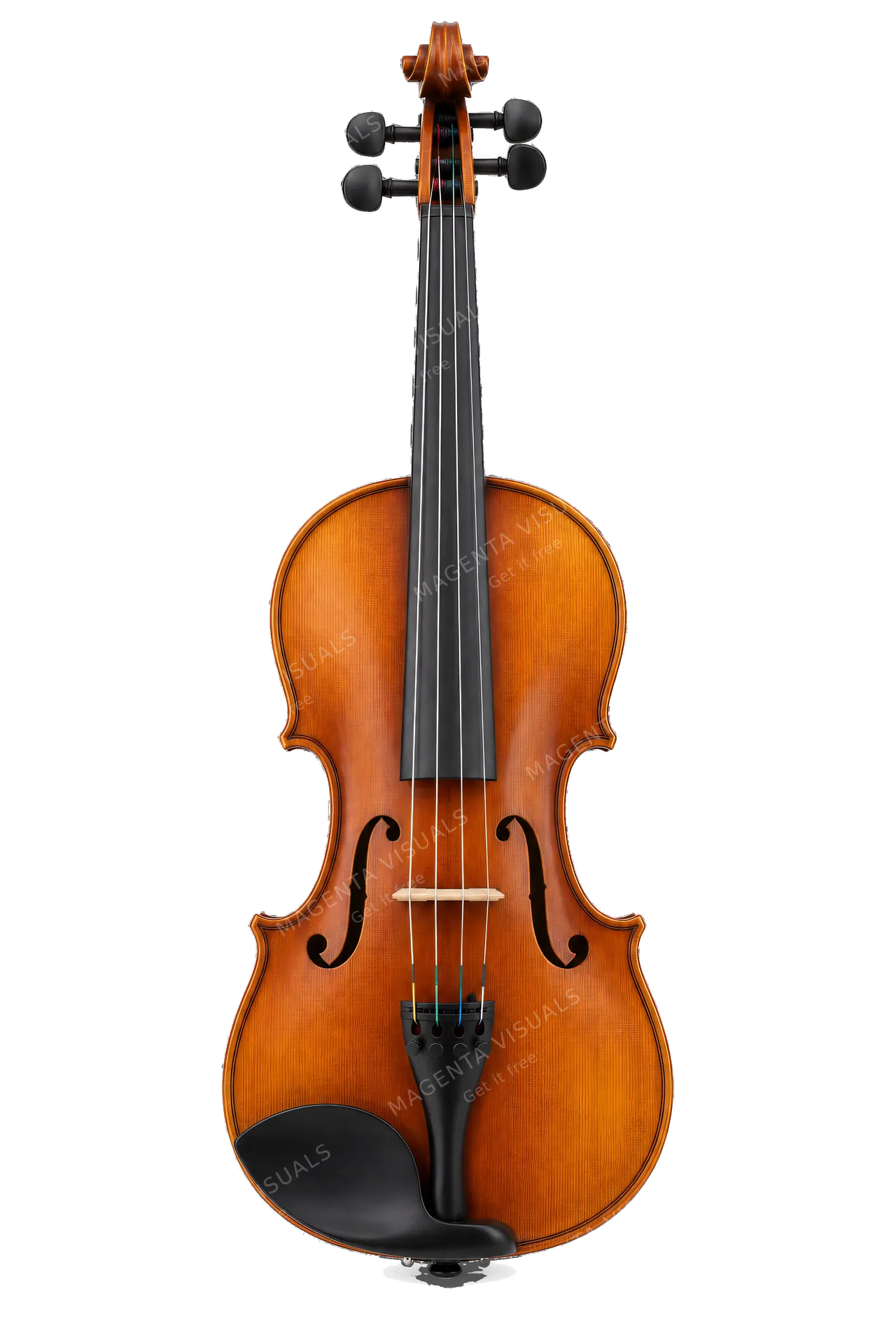 4K transparent cutout of product photography of a single acoustic wooden violin with a carved scroll, f-holes, four strings, and a polished warm brown varnish finish, isolated object, entire subject visib…