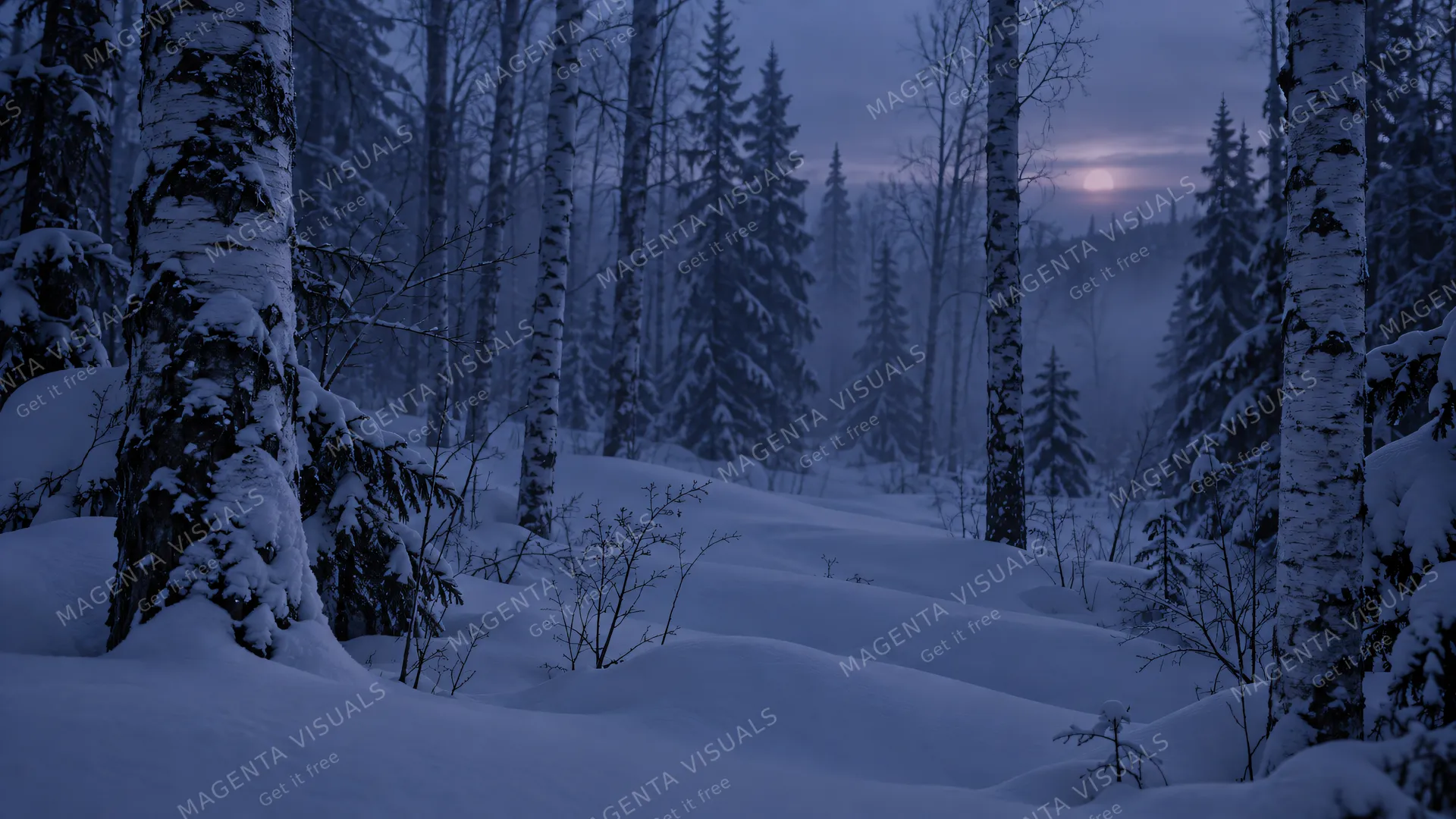 4K 16:9 cinematic telephoto composition slicing through a quiet, fog-drenched birch and spruce forest at twilight, stark white tree trunks rising from waist-deep undisturbed snowbank…