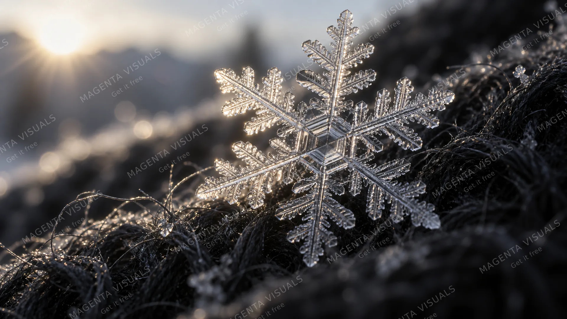 4K 16:9 widescreen extreme macro cinema shot with 100mm cine lens at shallow depth of field (f/2.8), a single pristine dendrite snowflake caught on dark raw wool fibers, backlit by s…