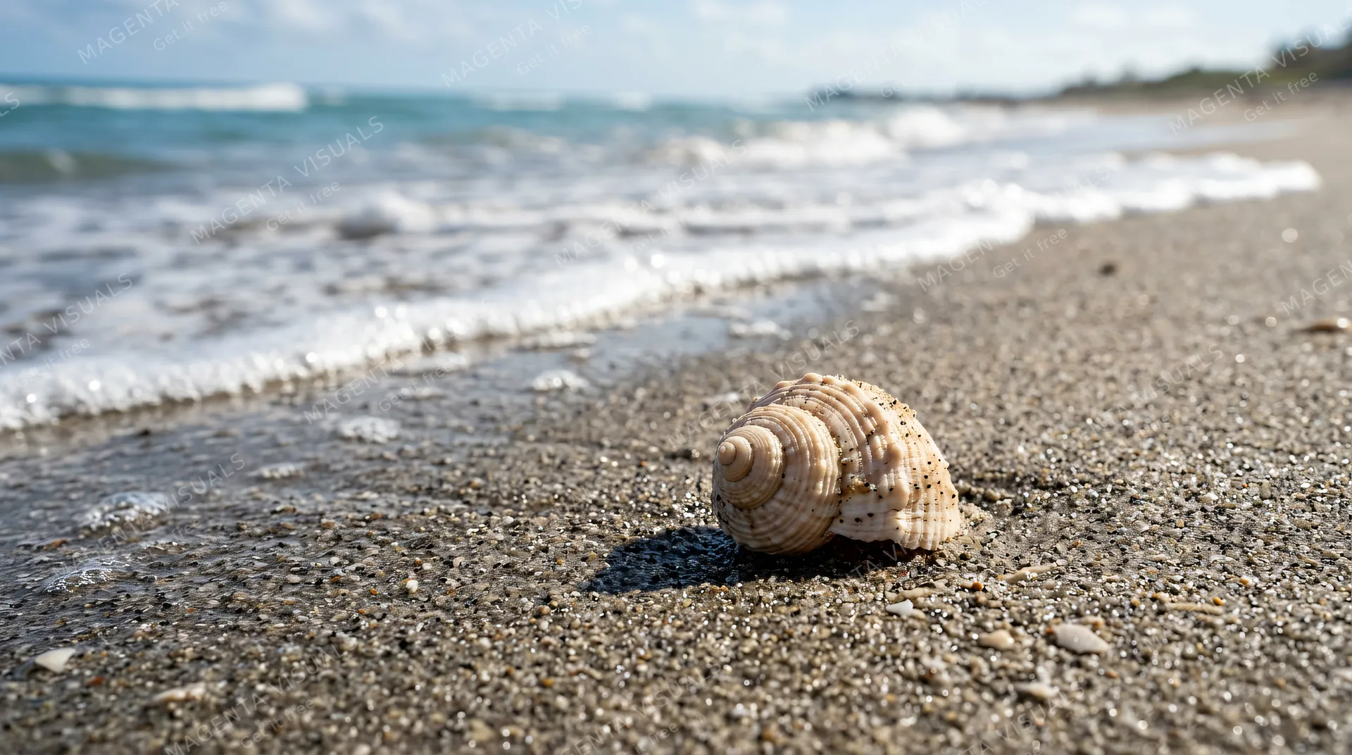 4K 16:9 photoreal photograph of a delicate spiral seashell resting naturally among fine granules of wet sand on a sunlit shoreline, gentle ocean waves with bright white sea foam in t…